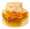 honey kept on plate