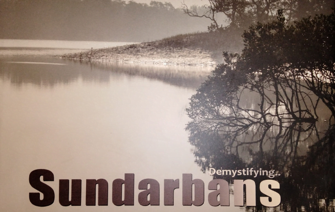 sundarban book cover photo