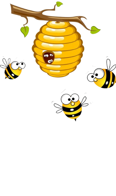 sundarban cute bees