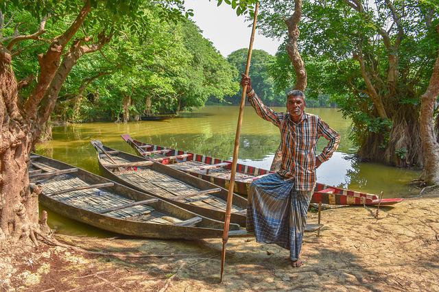 importance of sundarban