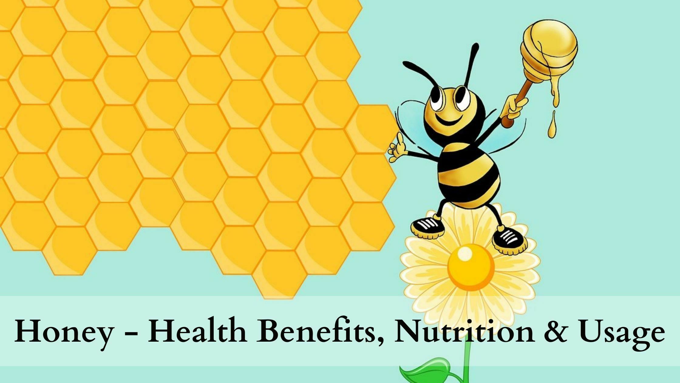 Extraordinary Health Benefits of Honey, Nutrition, and Usage